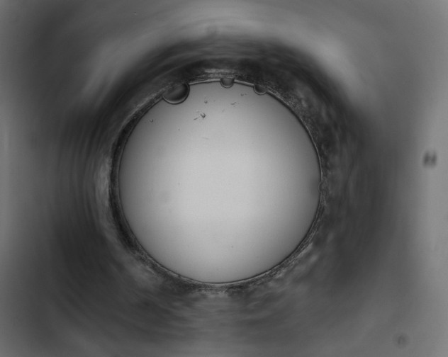 X0000103930194200809261711