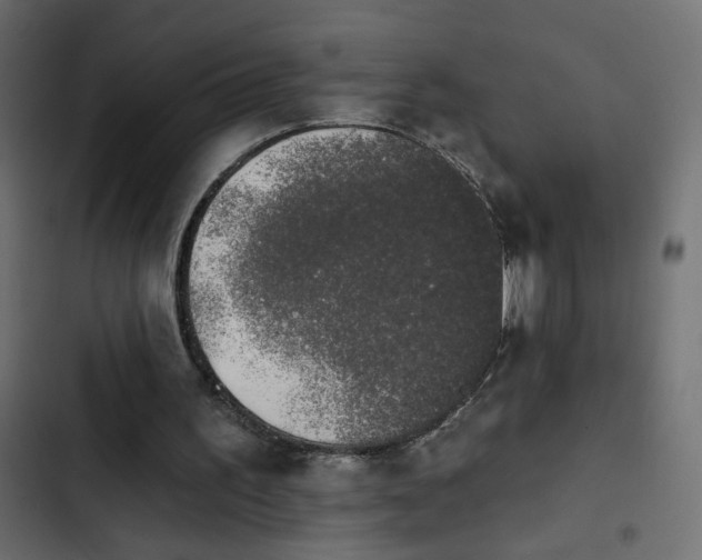 X0000103930195200809261711