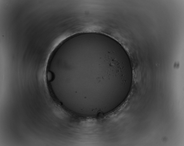 X0000103930196200809261711