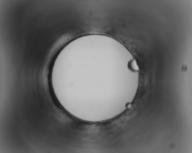 X0000103930197200809261711