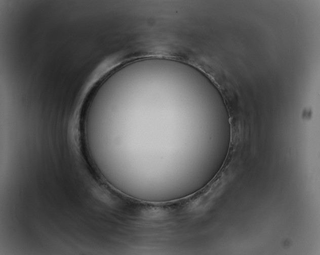 X0000103930198200809261711