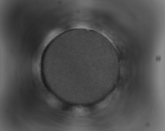 X0000103930199200809261711