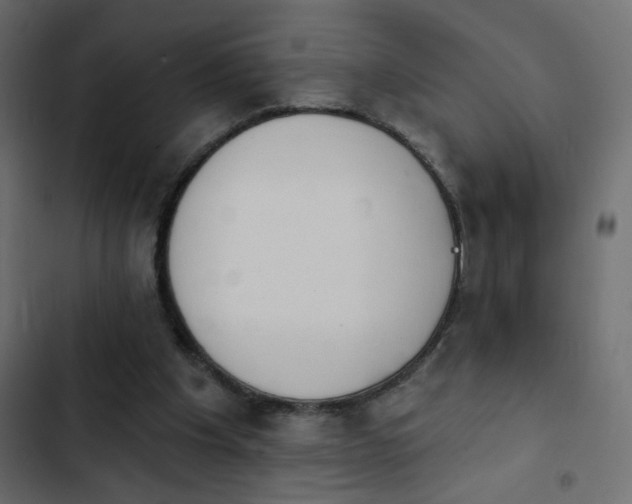 X0000103930201200809261711