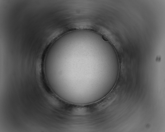 X0000103930202200809261711