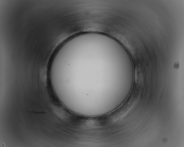 X0000103930204200809261711