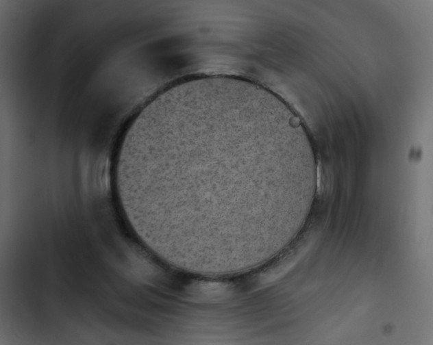 X0000103930205200809261711
