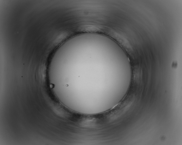 X0000103930206200809261711