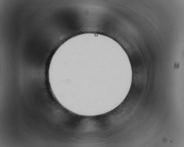 X0000103930207200809261711
