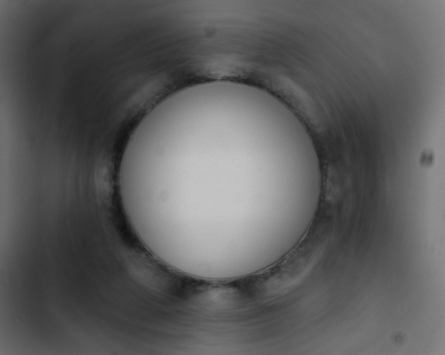 X0000103930210200809261711