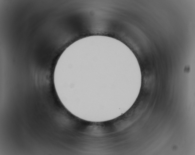 X0000103930211200809261711