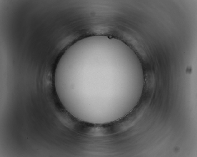 X0000103930212200809261711