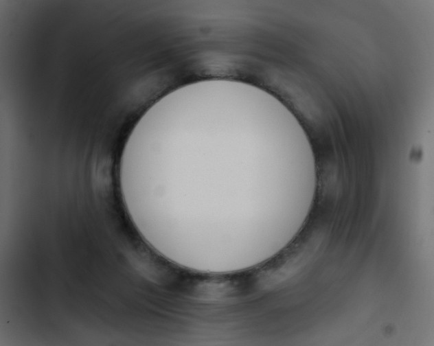 X0000103930213200809261710
