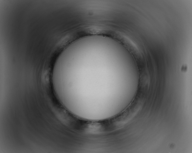 X0000103930214200809261710