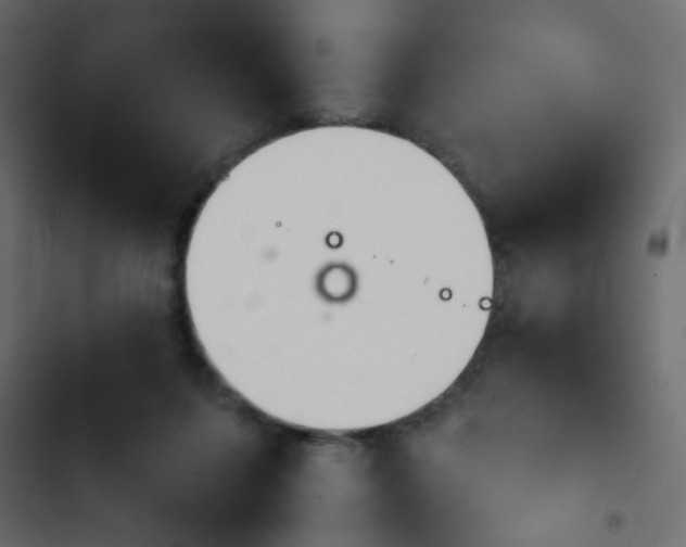 X0000103930215200809261710
