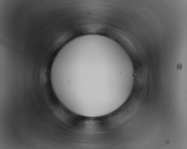 X0000103930216200809261710