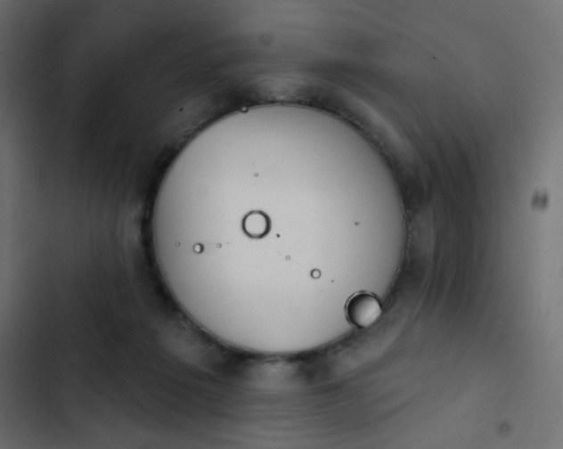X0000103930217200809261710