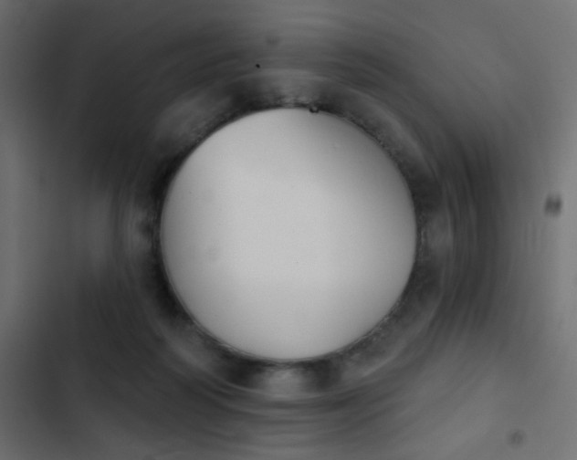 X0000103930218200809261710