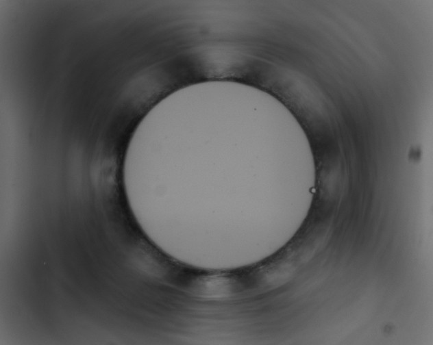 X0000103930219200809261710