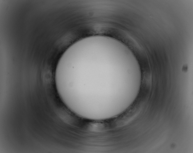 X0000103930220200809261710
