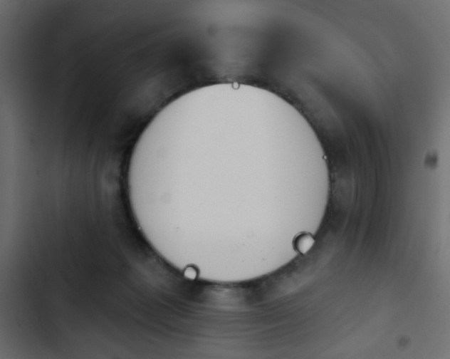 X0000103930221200809261710