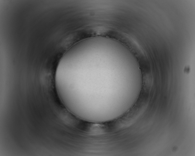 X0000103930222200809261710