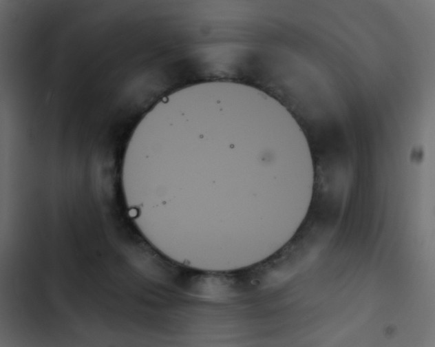 X0000103930223200809261710