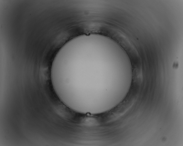 X0000103930224200809261710