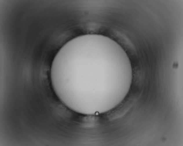 X0000103930225200809261710