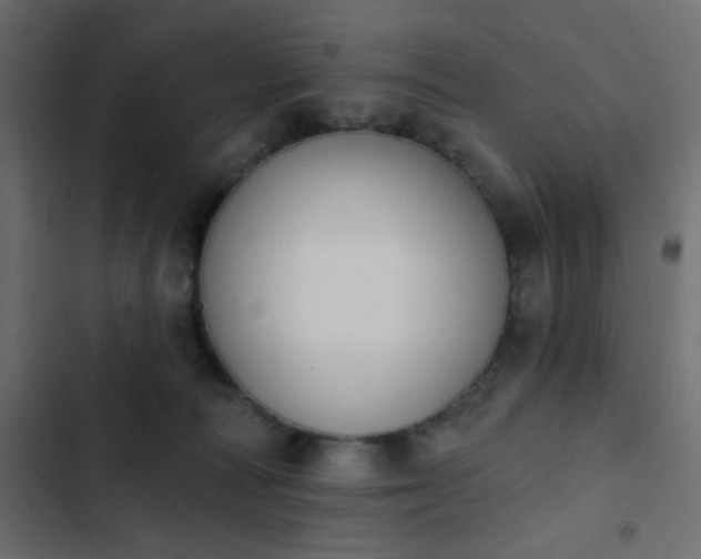 X0000103930226200809261710