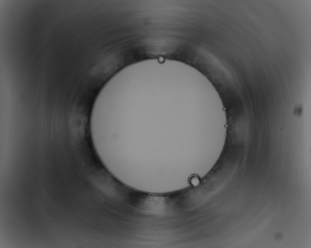 X0000103930227200809261710