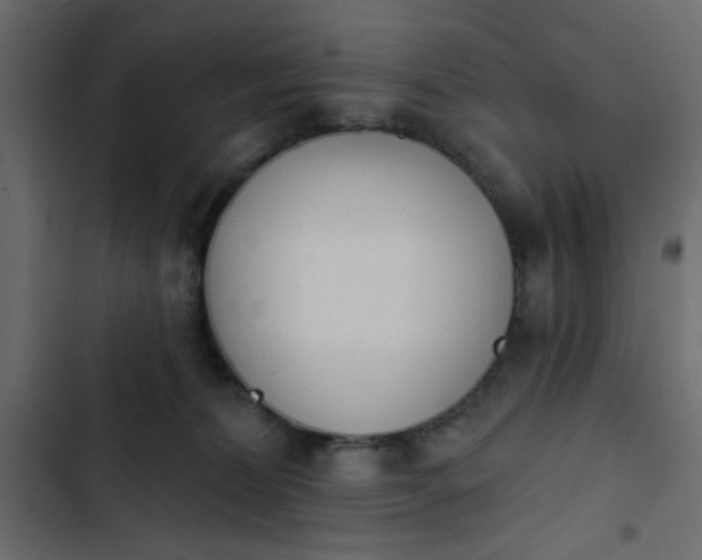 X0000103930228200809261710