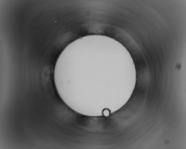 X0000103930229200809261710