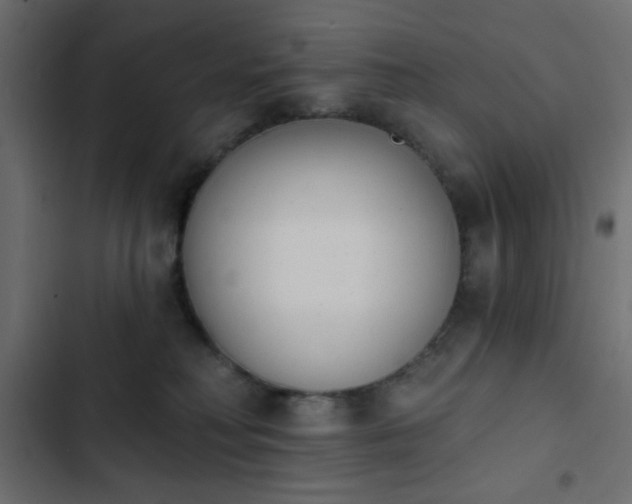 X0000103930230200809261710