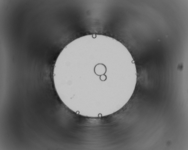 X0000103930233200809261710