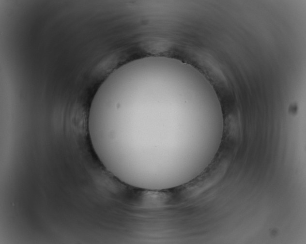 X0000103930234200809261710