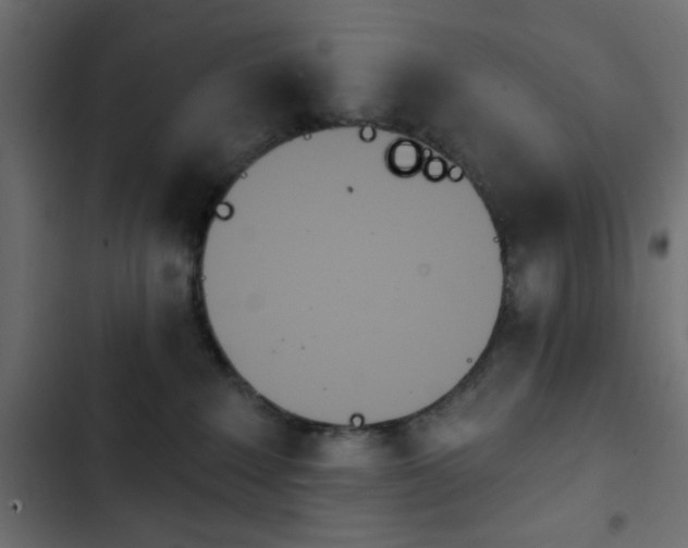 X0000103930235200809261710