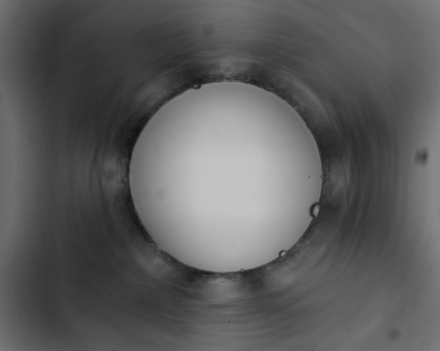 X0000103930236200809261710
