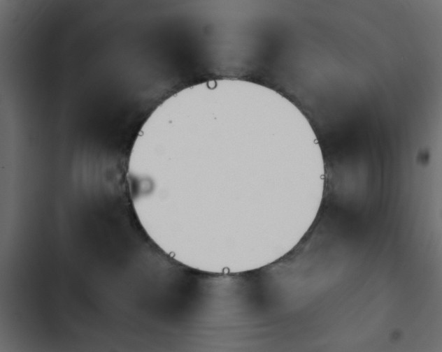 X0000103930237200809261710