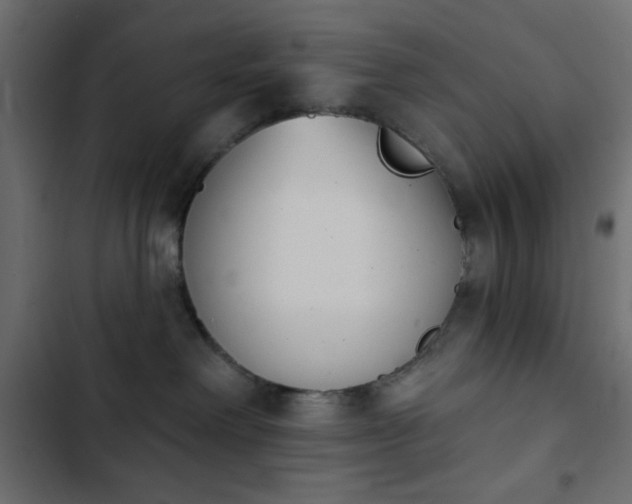 X0000103930238200809261710