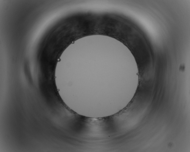 X0000103930239200809261710