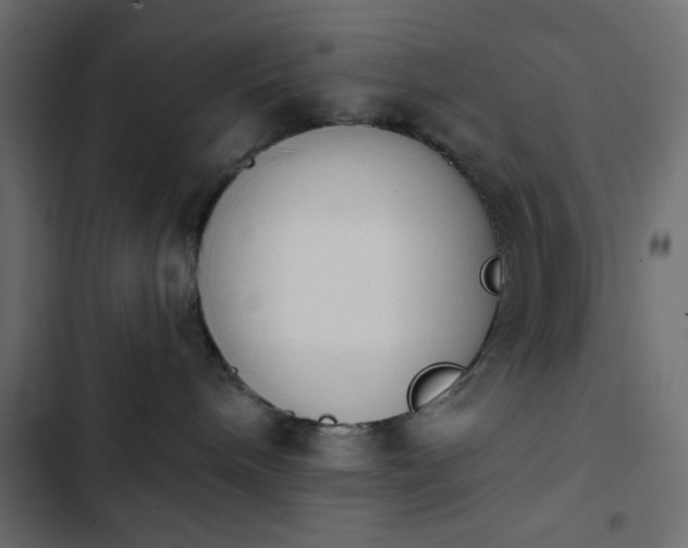 X0000103930240200809261710