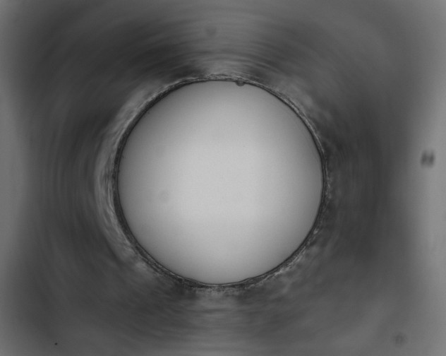 X0000103930241200809261709