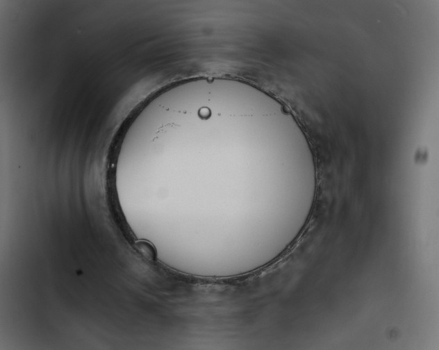 X0000103930242200809261709