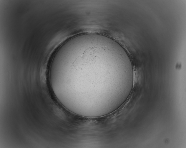 X0000103930243200809261709