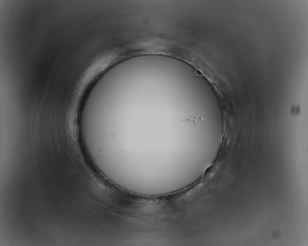 X0000103930245200809261709