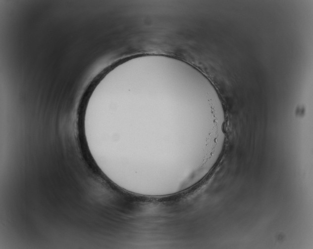 X0000103930246200809261709