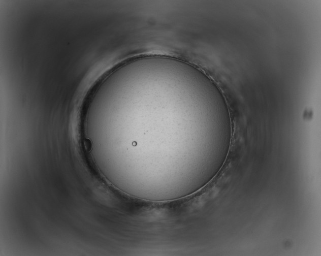 X0000103930247200809261709