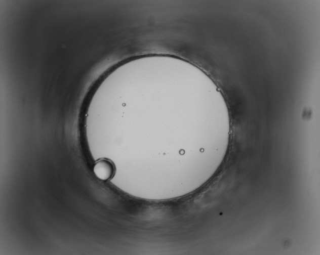 X0000103930248200809261710