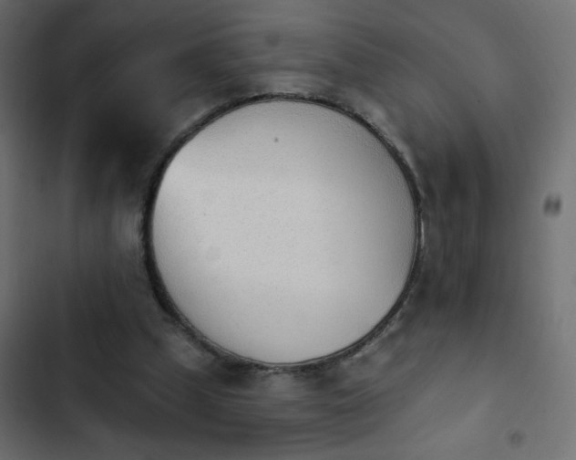 X0000103930249200809261710