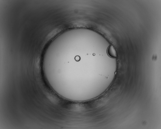 X0000103930250200809261710